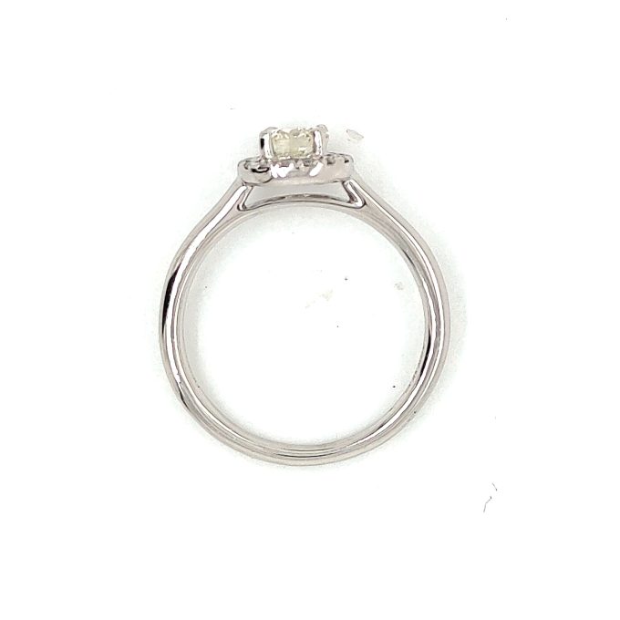 White Gold Diamond Halo Ring