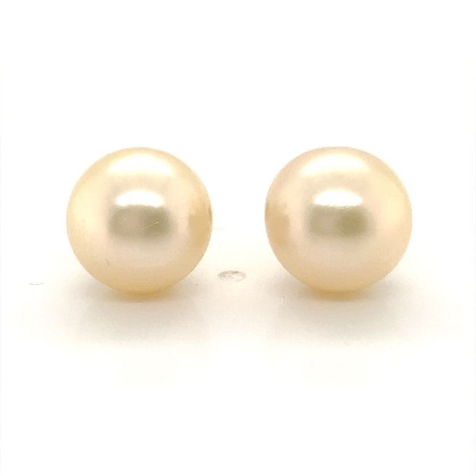 White Freshwater Pearl Stud Earrings