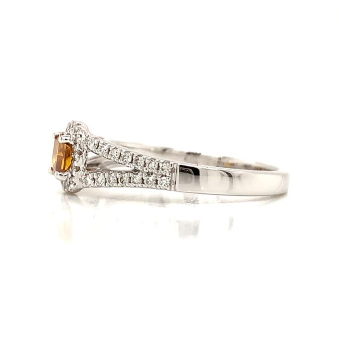 Yellow Diamond Pave White Gold Ring