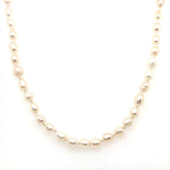 18 Inch Oval / Rice Pearl Gold Clasp Necklace