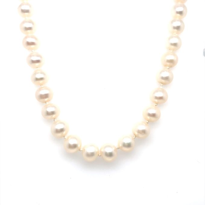 14ct Gold Clasp Cultured Pearl Necklace