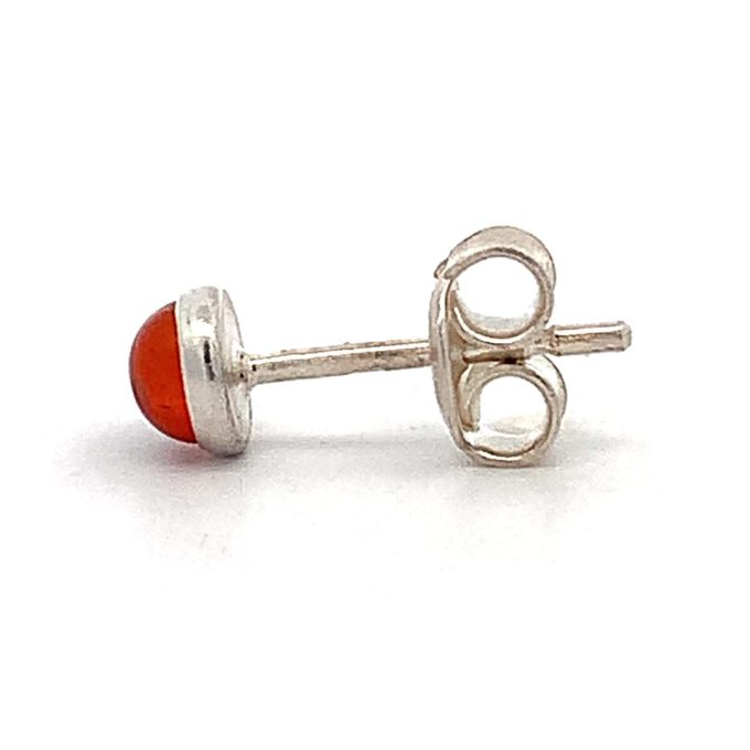 Amber Stud Earrings