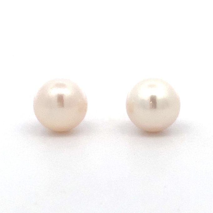 White Freshwater Pearl Stud Earrings