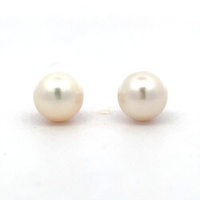 White Freshwater Pearl Stud Earrings