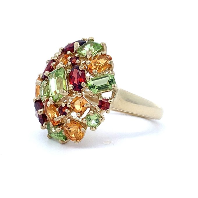 Multi Gem 9ct Yellow Gold Dress Ring