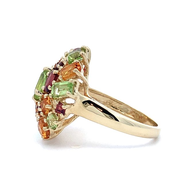 Multi Gem 9ct Yellow Gold Dress Ring
