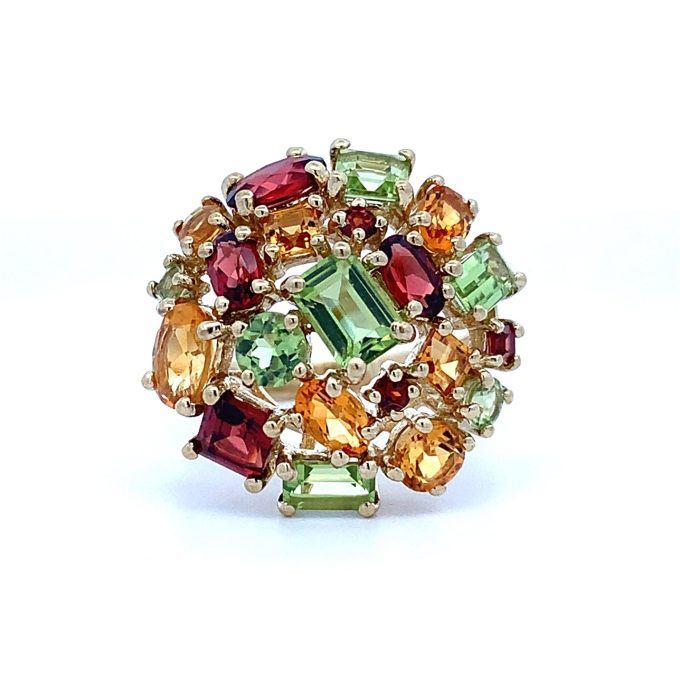 Multi Gem 9ct Yellow Gold Dress Ring