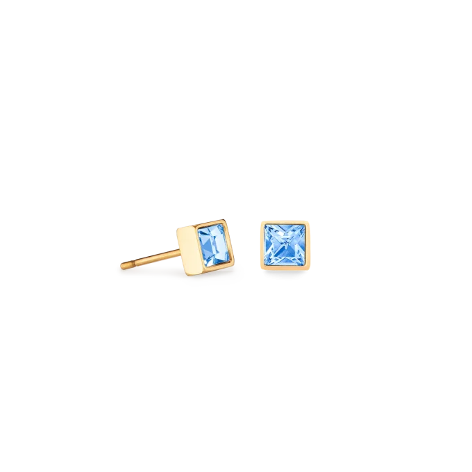 Coeur De Lion Crystal Stud Earrings 0501210755