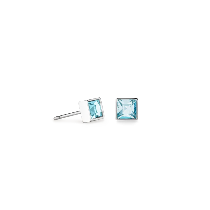 Coeur De Lion Crystal Stud Earrings 0501212017