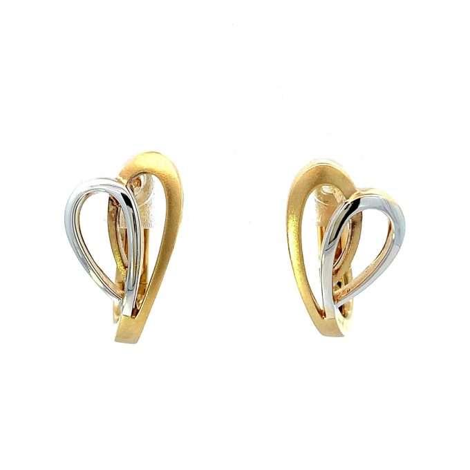 Two Tone Gold Lever Back Earrings