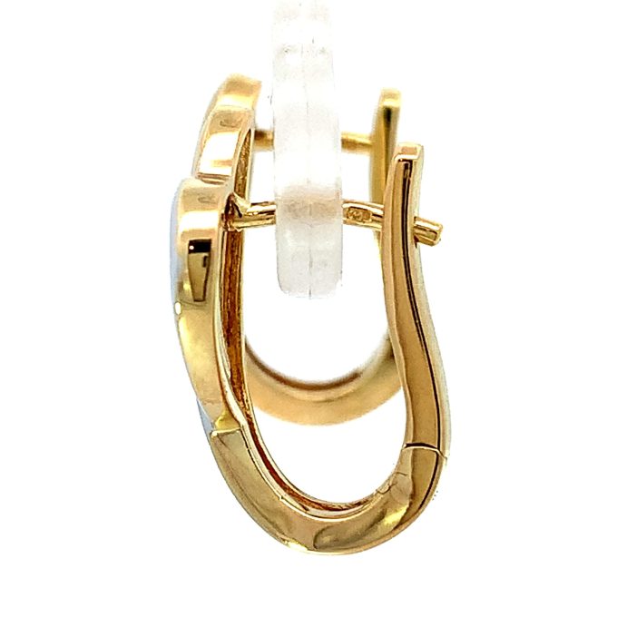Two Tone Gold Lever Back Earrings