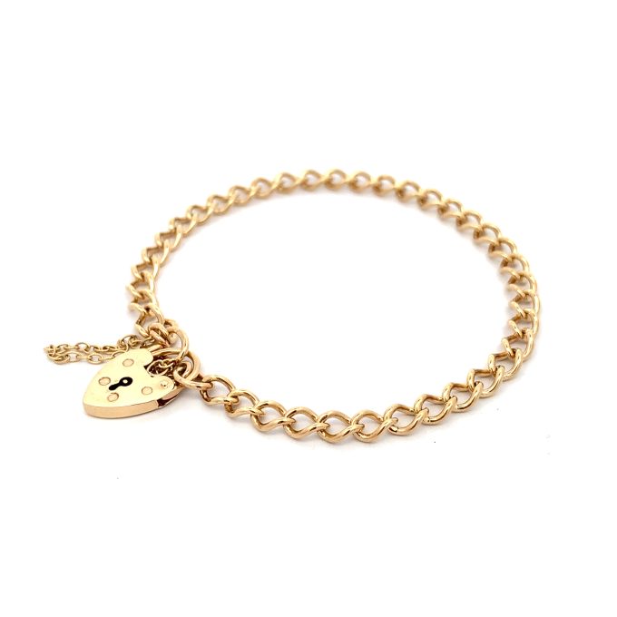 9ct Yellow Gold Charm Bracelet
