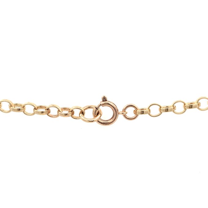 9ct Yellow Gold Oval Belcher Chain